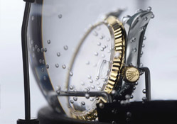 宁波劳力士售后官方维修中心-表壳