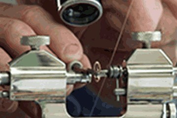 宁波劳力士表不走了